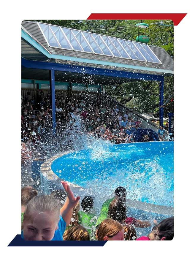 A big splash at a water show